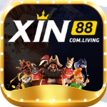xin88