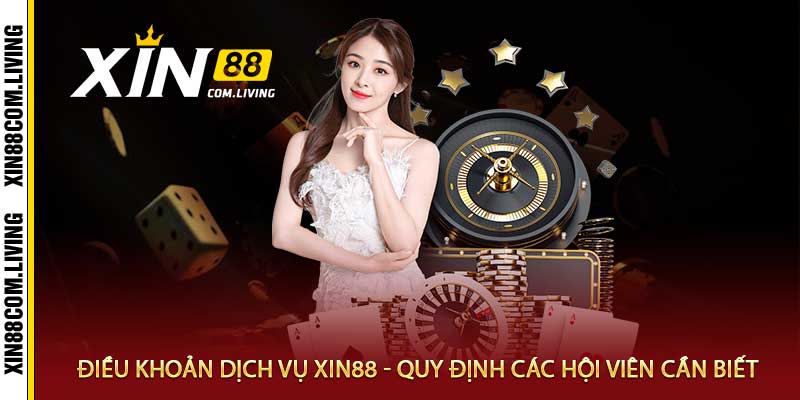 Điều Khoản Dịch Vụ