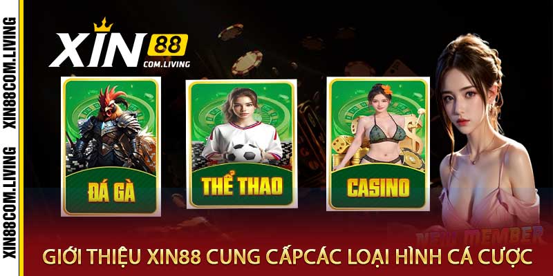 Giới thiệu xin88