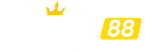 xin88